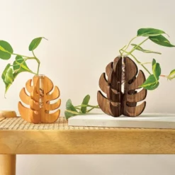 Plant Propagation Garden Wood Craft Kit - Mondo Llama™: Ages 8+ -Mondo Llama GUEST 27819ca2 e947 460a bc40 58a6d31de419