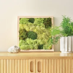 Preserved Moss Art Wood Craft Kit - Mondo Llama™ 6 Preserved Moss Art Wood Craft Kit - Mondo Llama™ -Mondo Llama GUEST 3f894b7b 1e8e 403c a1b7 20904893be85