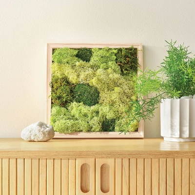 Preserved Moss Art Wood Craft Kit - Mondo Llama™ 3 Preserved Moss Art Wood Craft Kit - Mondo Llama™ - Image 3