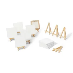10pk Paintapalooza Stretched Canvas Party Pack - Mondo Llamaâ„¢