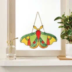 Halloween Craft Moth Resin Suncatcher Kit - Mondo Llamaâ„¢