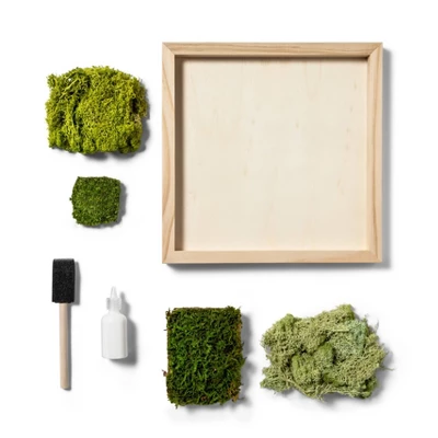 Preserved Moss Art Wood Craft Kit - Mondo Llama™ 1 Preserved Moss Art Wood Craft Kit - Mondo Llama™